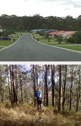 A new commercial subdivision and our surveyor at work